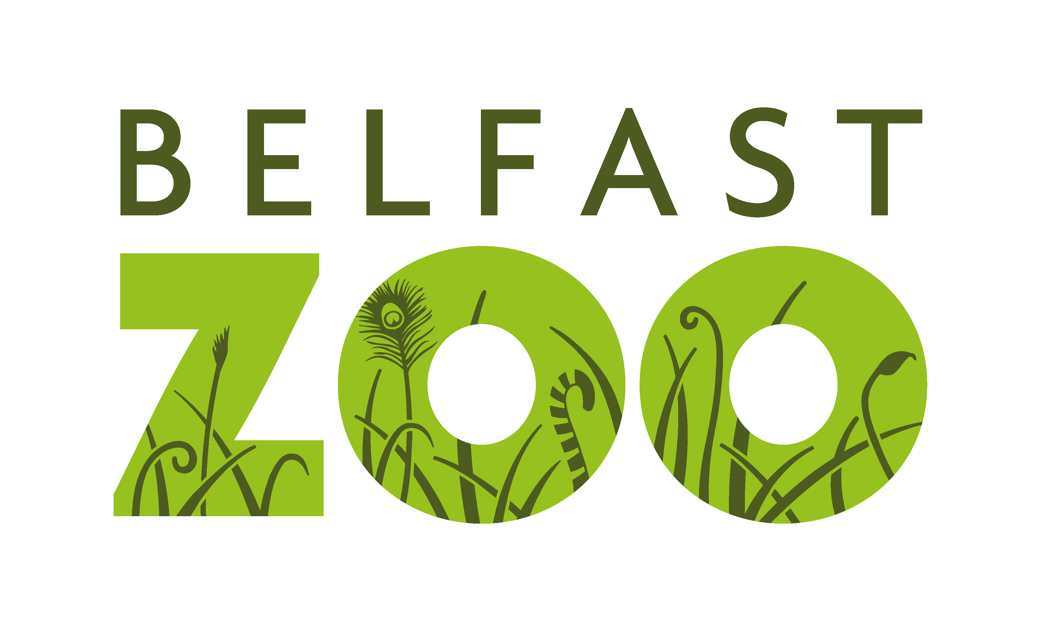 Belfast Zoo